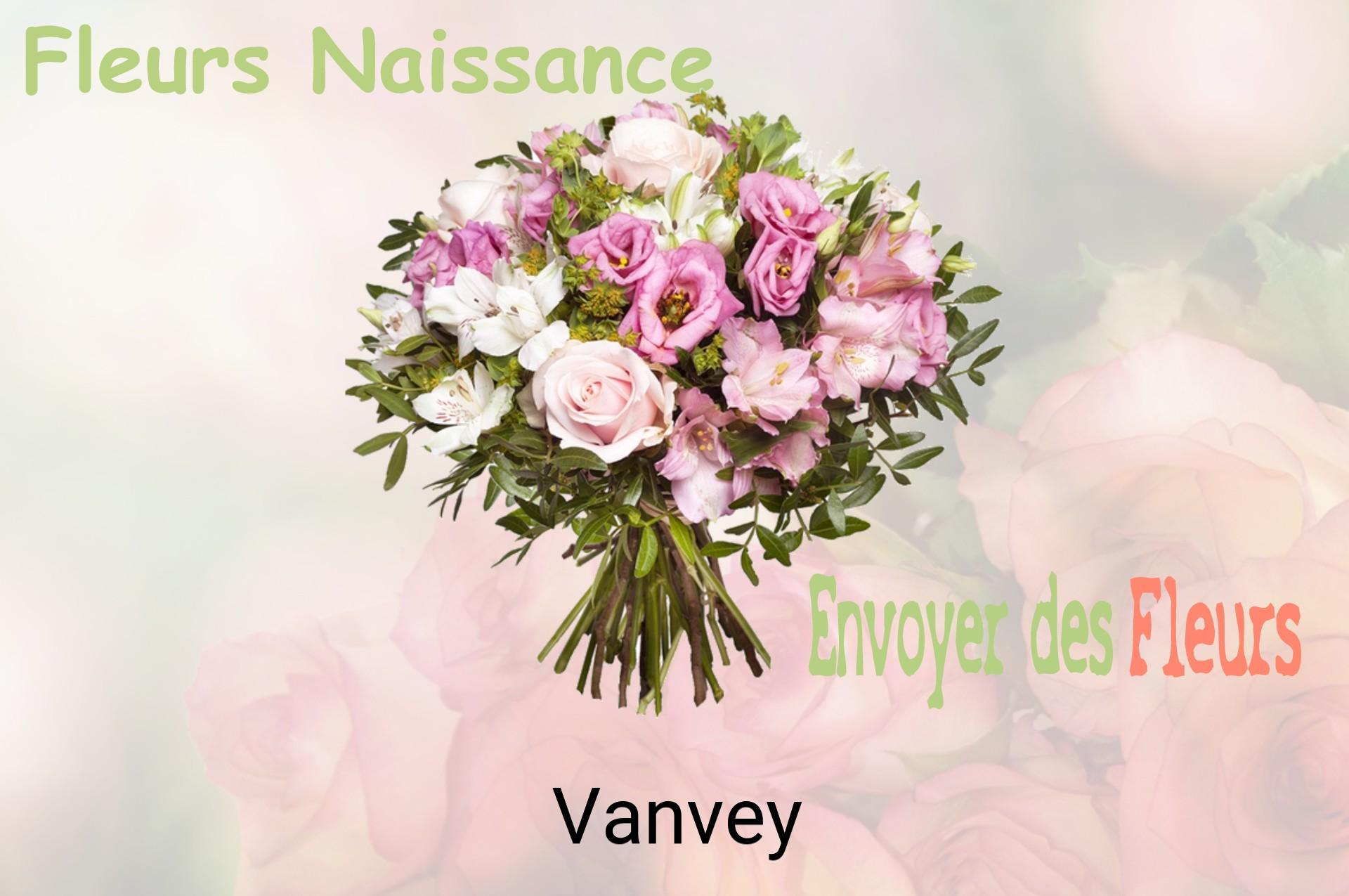 Bouquet de fleurs de naissance livré à Vanvey